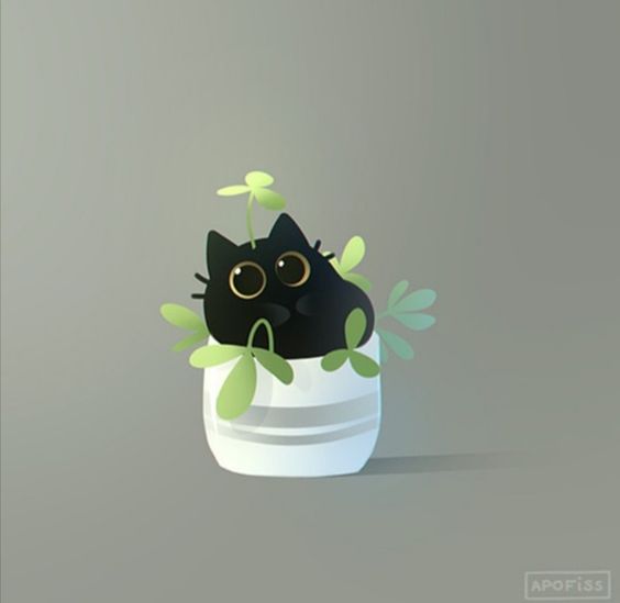 普通